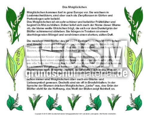 Abschreibtext-Maiglöckchen.pdf